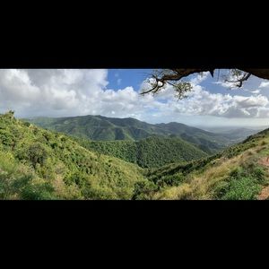 Meet your Posher, Iara